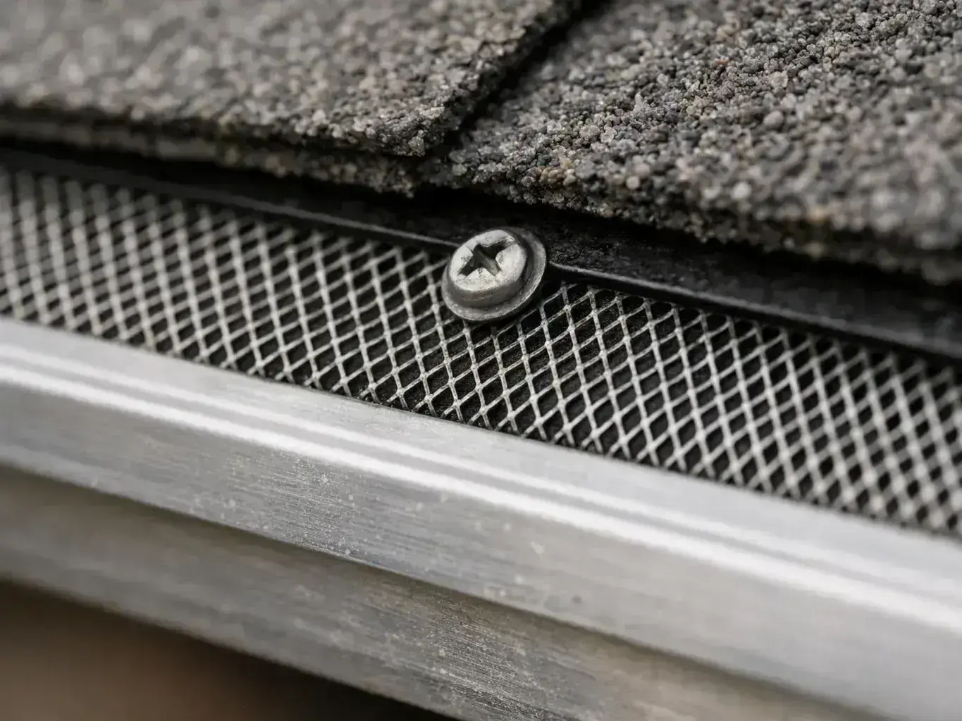 Close-up of a roof shingle edge with a screw holding a metal mesh strip underneath