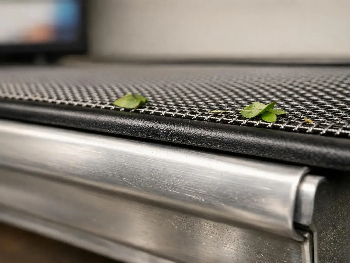 Small green leaves rest on a black mesh surface above a brushed metal edge indoors